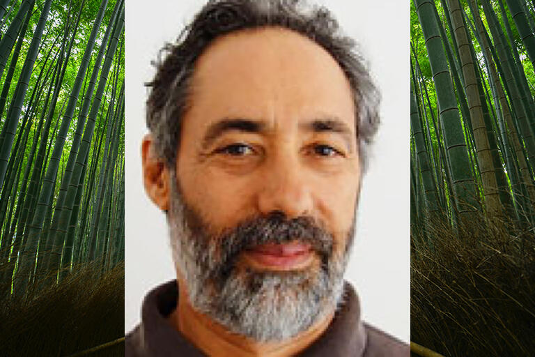 Mark Blum