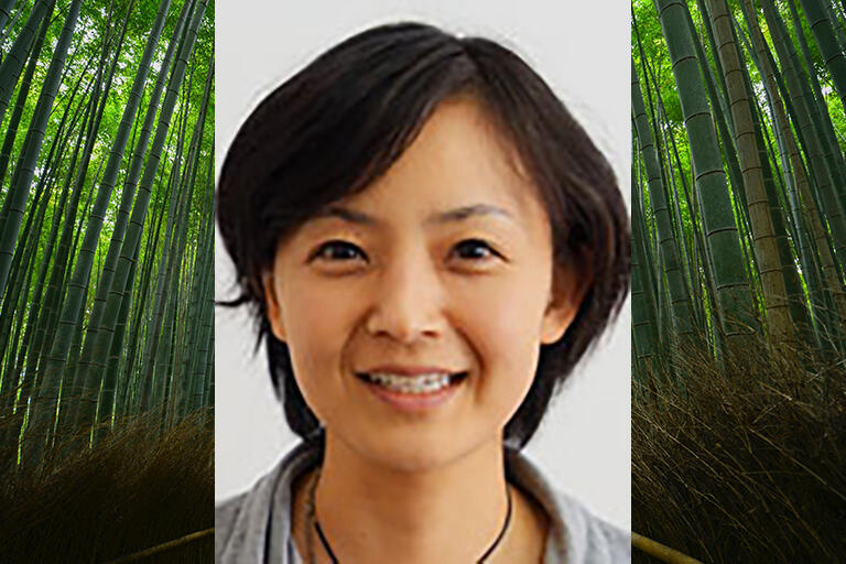 Kayoko Imagawa