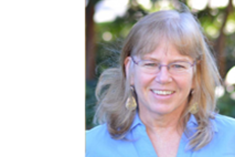 Nancy Lee Peluso