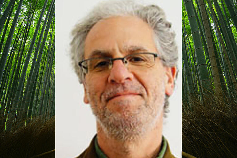 Alan Tansman