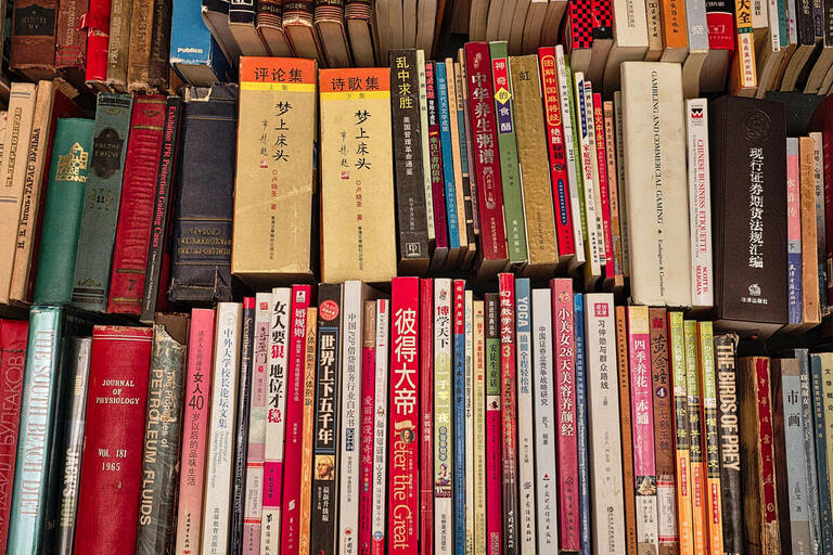 IEAS Translation Grant