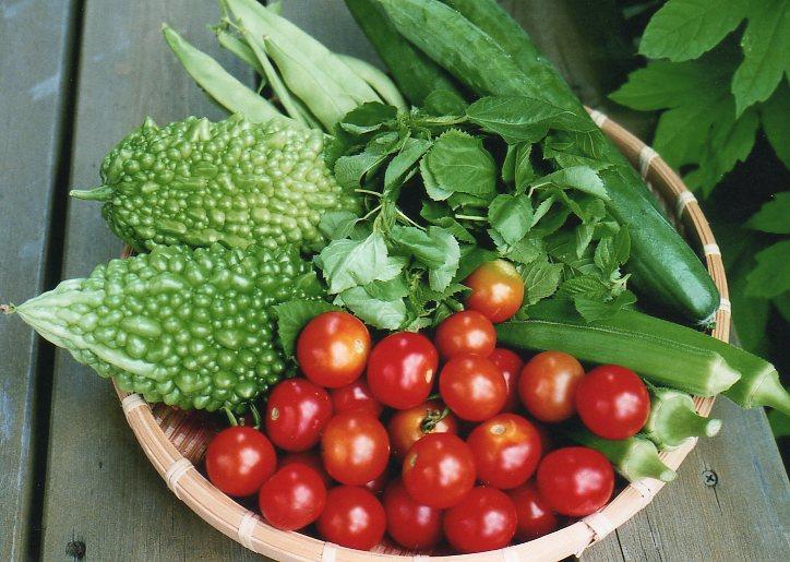 Goya and tomatoes in a basket