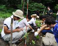 Jomon talk